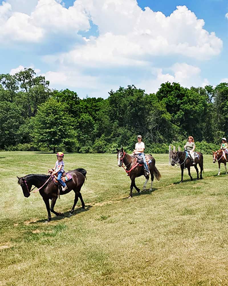 horseback riding